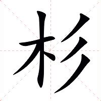 杉的意思